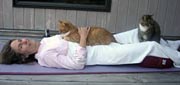 Heidi & cats